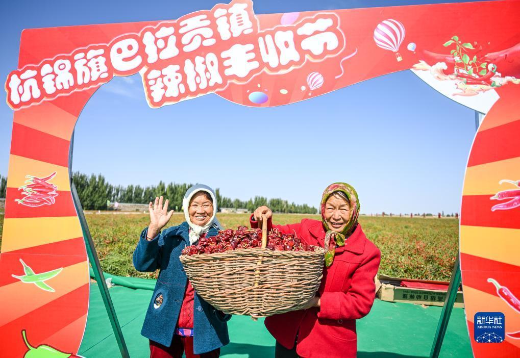 冰封娱乐网